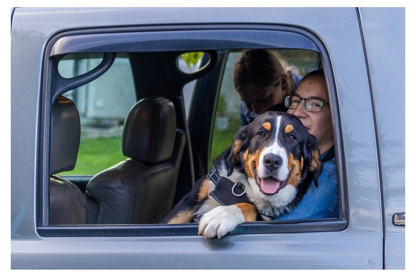¿Viajas en coche con tu mascota? Te contamos como hacerlo correctamente.