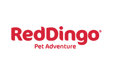 Red Dingo